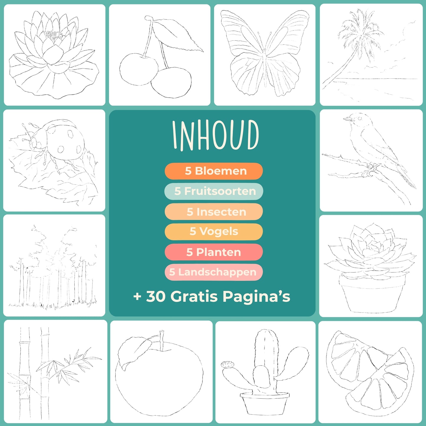 Tobio's™ Beginners Werkboek