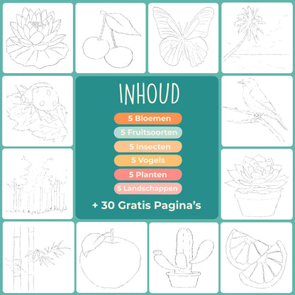 Tobio's™ Beginners Werkboek